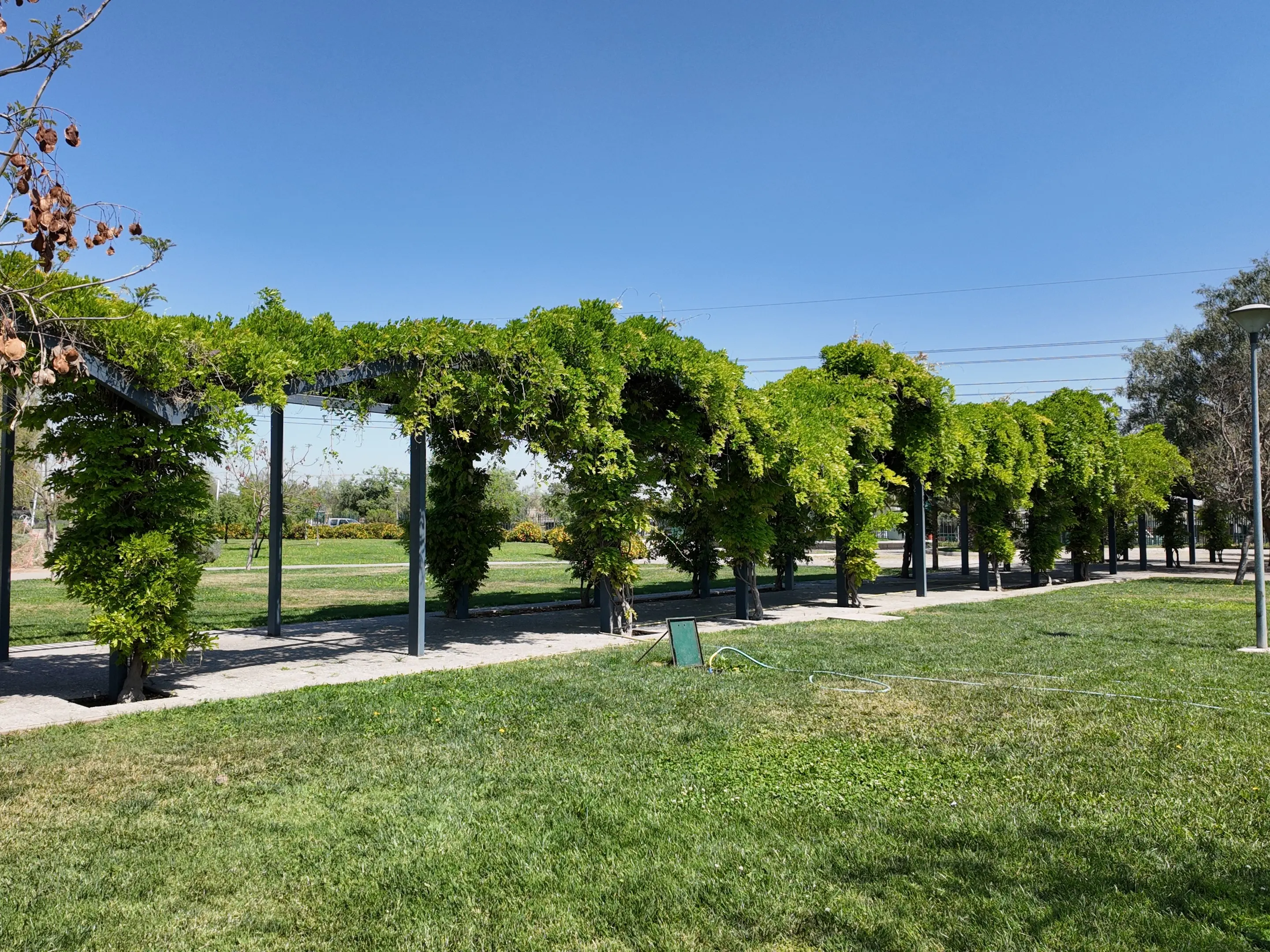 Parque Pierre Dubois